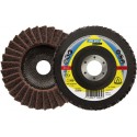 Flap discs KLINGSPOR 